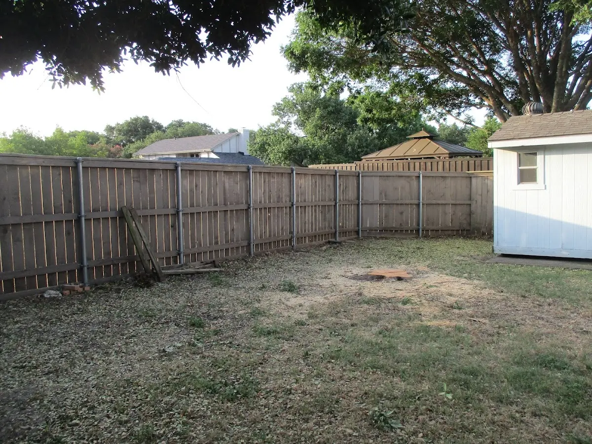 Cleared yard after professional tree removal in Saint George